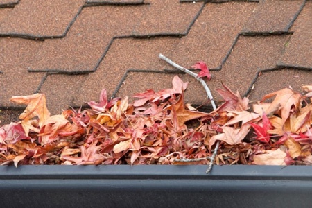 Close up of brown roof with leaf-stuffed gutters.