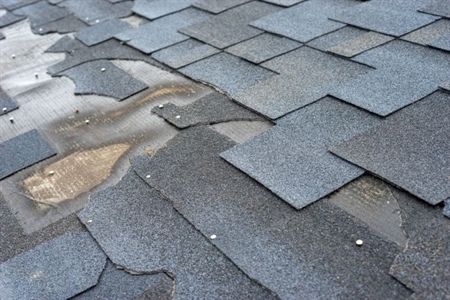 Close view of damaged asphalt shingle roof.